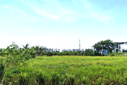 Tanah Kavling Dijual di Bekasi dengan Spesifikasi 1000m2 Tanah Kavling Dijual di Bekasi dengan Spesifikasi 1000m2