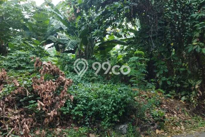 Tanah untuk Dijual di Kelapa Dua Tangerang Luas 720m2 Tanah untuk Dijual di Kelapa Dua Tangerang Luas 720m2