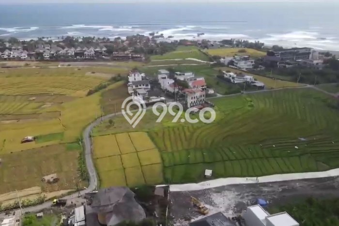 Tanah Dijual di Badung Seluas 3000m2 Strategis Tanah Dijual di Badung Seluas 3000m2 Strategis