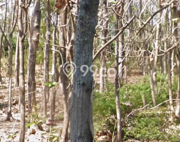 Lahan Kosong Dijual di Nganjuk dengan Area 1462m2 Lahan Kosong Dijual di Nganjuk dengan Area 1462m2
