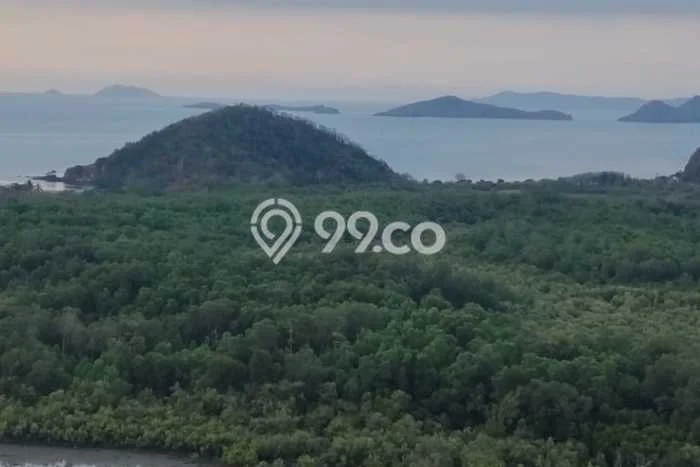 Untuk Dijual Tanah 70000m2 di Labuan Bajo, Manggarai Barat Untuk Dijual Tanah 70000m2 di Labuan Bajo, Manggarai Barat
