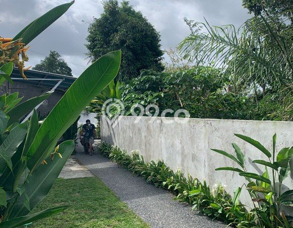 For Rent Vila Strategis Kawasan , Luas 100m2m², Akses Mudah Badung, Badung For Rent Vila Strategis Kawasan , Luas 100m2m², Akses Mudah Badung, Badung