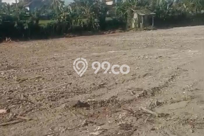 Kavling Tanah di Baturiti Dijual Luas 7450m2 Legalitas SHM Kavling Tanah di Baturiti Dijual Luas 7450m2 Legalitas SHM