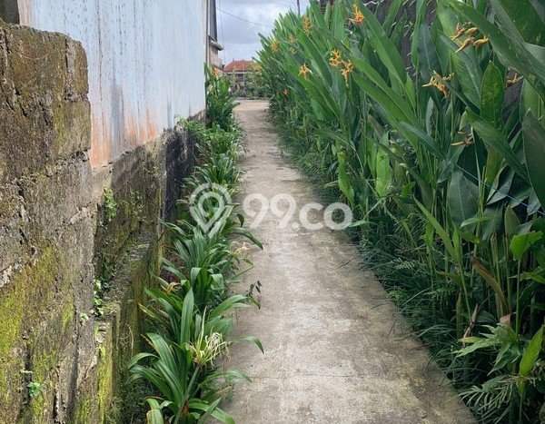 For Rent Vila Strategis Kawasan , Luas 100m2m², Akses Mudah Badung, Badung For Rent Vila Strategis Kawasan , Luas 100m2m², Akses Mudah Badung, Badung
