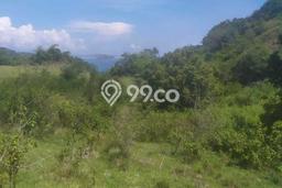 Tanah Area Prospektif Kawasan Labuan Bajo, Luas 55000m2m², Akses ke Fasilitas Umum, Dekat Labuan Bajo, Manggarai Barat, Manggarai Barat Tanah Area Prospektif Kawasan Labuan Bajo, Luas 55000m2m², Akses ke Fasilitas Umum, Dekat Labuan Bajo, Manggarai Barat, Manggarai Barat