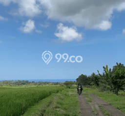 Tanah untuk Dijual di Tabanan Tabanan Luas 3700m2 Tanah untuk Dijual di Tabanan Tabanan Luas 3700m2