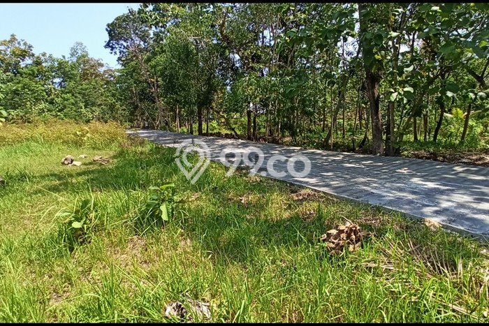 Jual Tanah Wates Dekat Rs Pantirapih Baru Wates, Legalitas SHM Jual Tanah Wates Dekat Rs Pantirapih Baru Wates, Legalitas SHM