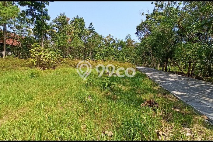 Jual Tanah Wates Dekat Rs Pantirapih Baru Wates, Legalitas SHM Jual Tanah Wates Dekat Rs Pantirapih Baru Wates, Legalitas SHM