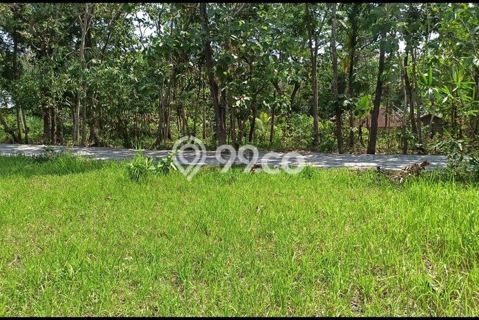 Jual Tanah Wates Dekat Rs Pantirapih Baru Wates, Legalitas SHM Jual Tanah Wates Dekat Rs Pantirapih Baru Wates, Legalitas SHM