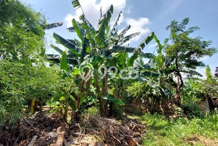 Disewakan Tanah Seluas 1500m2 di Ciledug, Tangerang Disewakan Tanah Seluas 1500m2 di Ciledug, Tangerang