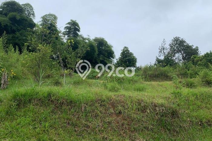 Tanah Strategis Dijual di Lembang Bandung Barat 5393m2 Tanah Strategis Dijual di Lembang Bandung Barat 5393m2