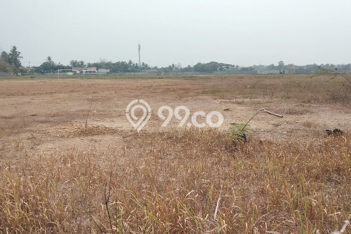 Kavling Tanah di Jawilan Dijual Luas 3e+09m2 Legalitas SHM Kavling Tanah di Jawilan Dijual Luas 3e+09m2 Legalitas SHM