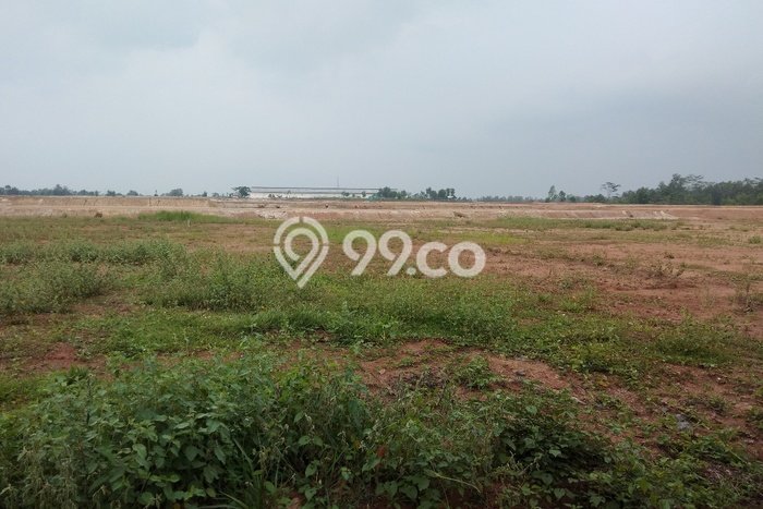 Kavling Tanah di Jawilan Dijual Luas 3e+09m2 Legalitas SHM Kavling Tanah di Jawilan Dijual Luas 3e+09m2 Legalitas SHM