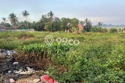Tanah di Kronjo, Tangerang Luas 40000m2 Dijual Segera Tanah di Kronjo, Tangerang Luas 40000m2 Dijual Segera