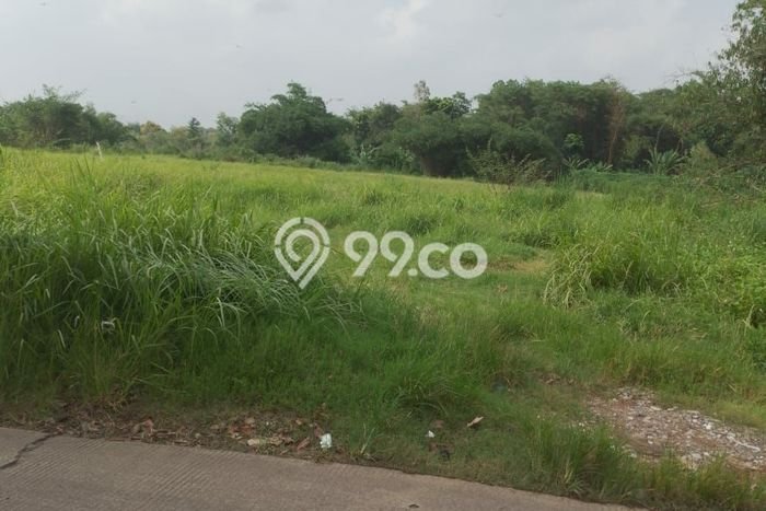Lahan Investasi Lokasi Jawilan Serang SHM Lahan Investasi Lokasi Jawilan Serang SHM