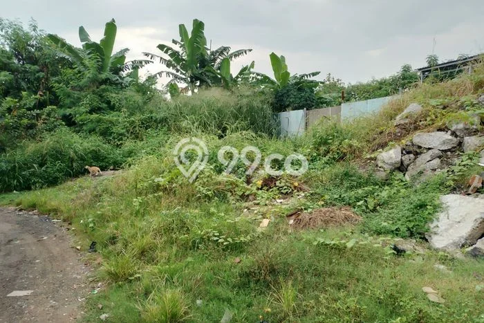 Tanah Kavling Dijual di Pasar Kemis, Tangerang dengan Luas Tanah 3.2e+08m2 Tanah Kavling Dijual di Pasar Kemis, Tangerang dengan Luas Tanah 3.2e+08m2