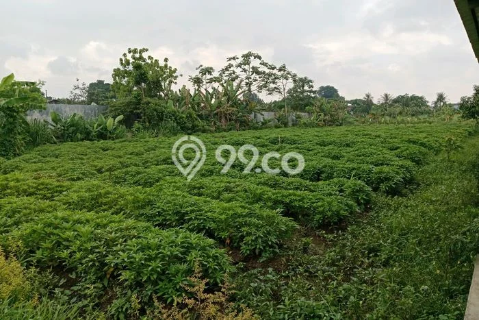 Tanah Dijual Lokasi Ciputat, Tangerang Selatan Luas 21000m2 Legalitas Aman Tanah Dijual Lokasi Ciputat, Tangerang Selatan Luas 21000m2 Legalitas Aman
