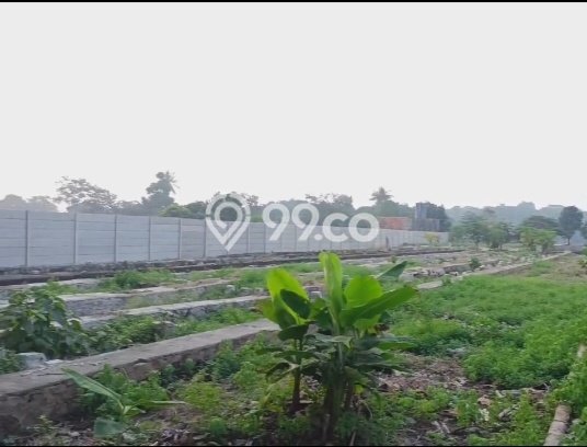 Jarang Ada! Tanah di Gunung Sindur Punya Luas 46000m2 SHM Jarang Ada! Tanah di Gunung Sindur Punya Luas 46000m2 SHM