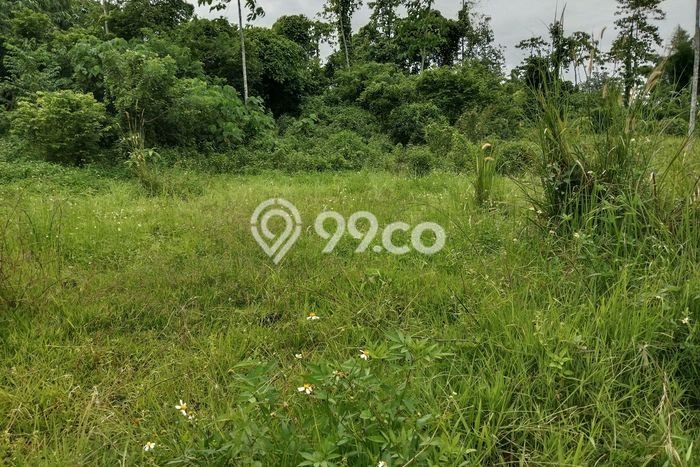Lahan Kosong Dijual di Tangerang dengan Area 1000m2 Lahan Kosong Dijual di Tangerang dengan Area 1000m2