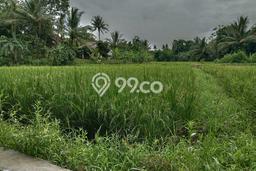 Kavling Tanah di Tigaraksa Dijual Luas 560m2 Legalitas SHM Kavling Tanah di Tigaraksa Dijual Luas 560m2 Legalitas SHM