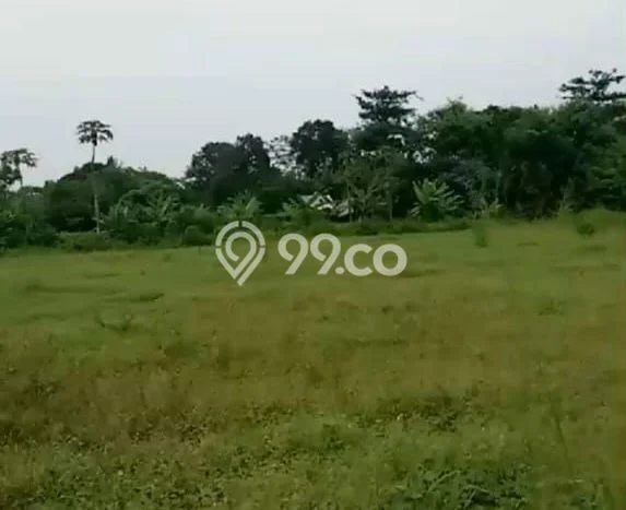 Lahan Dijual Lokasi Jayanti, Tangerang dengan Luas Tanah 1e+08m2 dan Status SHM Lahan Dijual Lokasi Jayanti, Tangerang dengan Luas Tanah 1e+08m2 dan Status SHM