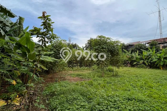 Untuk Dijual Tanah di Limo Depok Luas 1335m2 SHM Untuk Dijual Tanah di Limo Depok Luas 1335m2 SHM