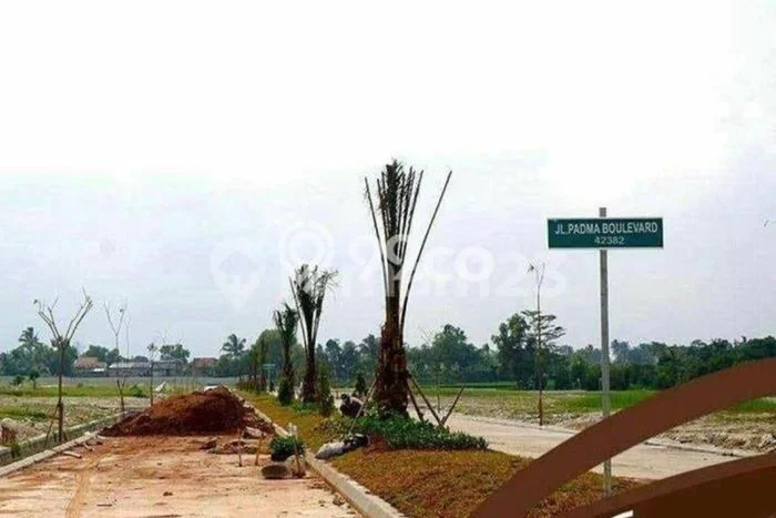 Tanah Kavling untuk Dijual di Maja Lebak 120m2 Tanah Kavling untuk Dijual di Maja Lebak 120m2