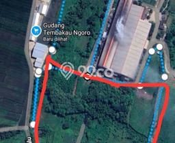 Tanah untuk Dijual Lokasi Ngoro, Mojokerto Luas 20000m2 SHM Tanah untuk Dijual Lokasi Ngoro, Mojokerto Luas 20000m2 SHM