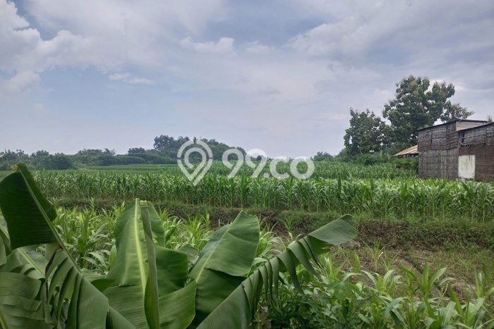 Tanah Dijual di Mojokerto Seluas 5700m2 Strategis Tanah Dijual di Mojokerto Seluas 5700m2 Strategis