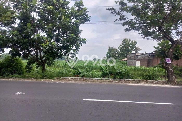 Tanah Dijual di Mojokerto Seluas 5700m2 Strategis Tanah Dijual di Mojokerto Seluas 5700m2 Strategis