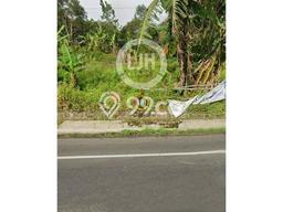 Tanah Dijual Lokasi Tingkir, Salatiga Luas 6225m2 Legalitas Aman Tanah Dijual Lokasi Tingkir, Salatiga Luas 6225m2 Legalitas Aman