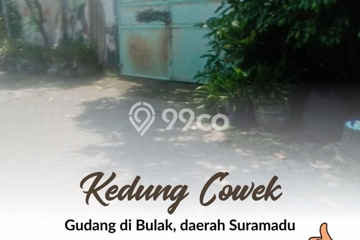 Gudang Favorit Dijual di Bulak Surabaya Area Pusat Bisnis Gudang Favorit Dijual di Bulak Surabaya Area Pusat Bisnis