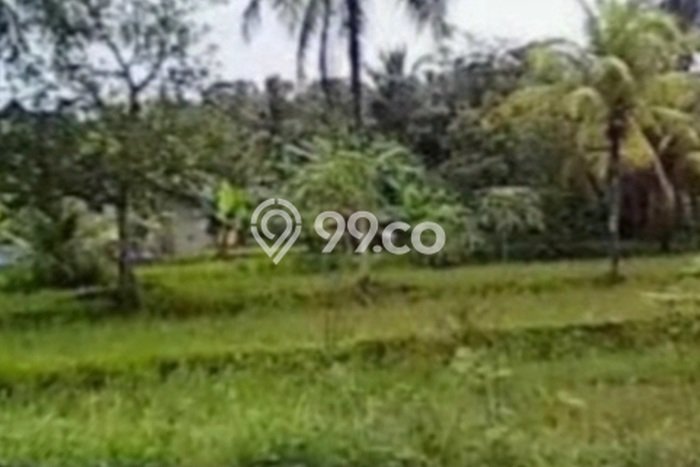 Tanah Dijual Lokasi Panimbang, Pandeglang Luas 41666m2 Legalitas Aman Tanah Dijual Lokasi Panimbang, Pandeglang Luas 41666m2 Legalitas Aman