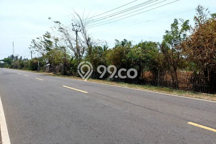 Tanah Dijual Lokasi Panimbang Pandeglang SHM Tanah Dijual Lokasi Panimbang Pandeglang SHM