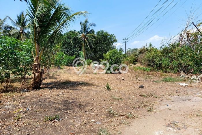 Tanah Dijual Lokasi Panimbang Pandeglang SHM Tanah Dijual Lokasi Panimbang Pandeglang SHM