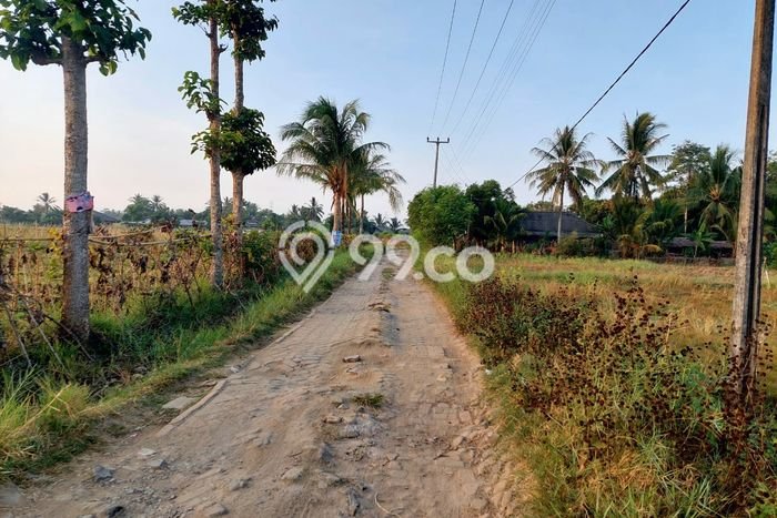 Tanah Dijual Area Strategis di Panimbang Jaya Pandeglang 30000m2 Tanah Dijual Area Strategis di Panimbang Jaya Pandeglang 30000m2
