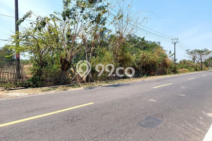 Tanah Dijual Lokasi Panimbang Pandeglang SHM Tanah Dijual Lokasi Panimbang Pandeglang SHM