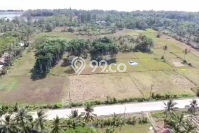 Tanah Dijual Lokasi Panimbang, Pandeglang Luas 41666m2 Legalitas Aman Tanah Dijual Lokasi Panimbang, Pandeglang Luas 41666m2 Legalitas Aman