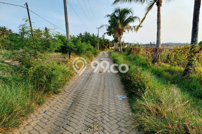 Tanah Dijual Area Strategis di Panimbang Jaya Pandeglang 30000m2 Tanah Dijual Area Strategis di Panimbang Jaya Pandeglang 30000m2