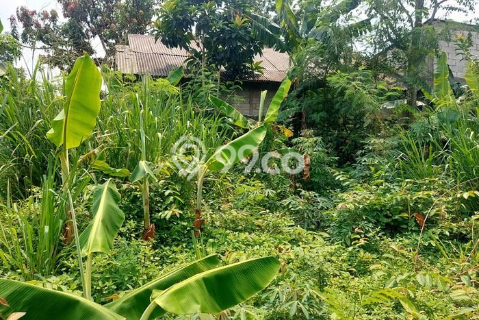 Untuk Dijual Tanah di Pinang Tangerang Luas 932m2 AJB Untuk Dijual Tanah di Pinang Tangerang Luas 932m2 AJB