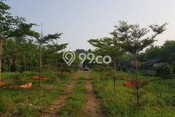 Tanah di Parung, Luas 24500m², Area Potensial, Dekat Parung, Bogor, Bogor Tanah di Parung, Luas 24500m², Area Potensial, Dekat Parung, Bogor, Bogor