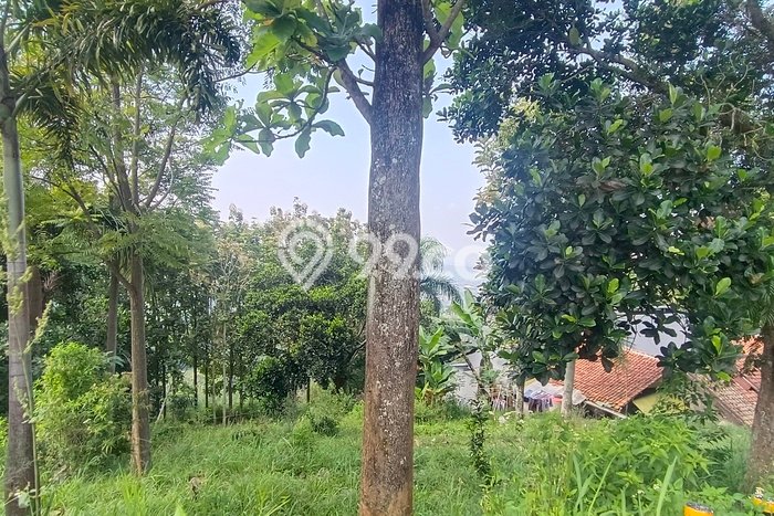 Tanah untuk Dijual di Lembang Bandung Barat Luas 1130m2 Tanah untuk Dijual di Lembang Bandung Barat Luas 1130m2