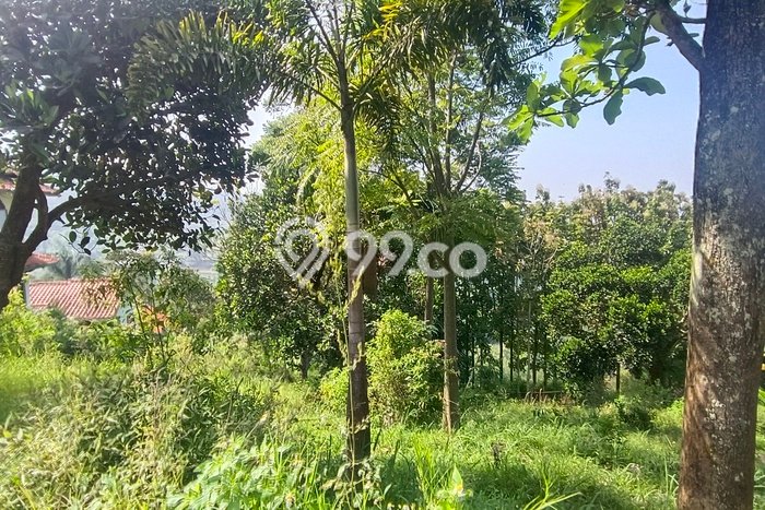 Tanah untuk Dijual di Lembang Bandung Barat Luas 1130m2 Tanah untuk Dijual di Lembang Bandung Barat Luas 1130m2