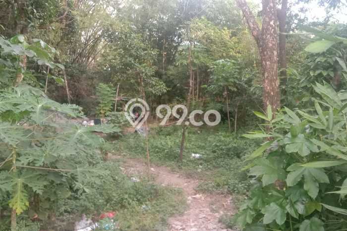 Tanah Dijual Lokasi Sleman, Sleman Luas 1160m2 Legalitas Aman Tanah Dijual Lokasi Sleman, Sleman Luas 1160m2 Legalitas Aman