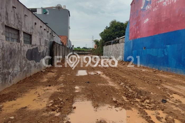 Lahan untuk Disewa di Cirebon Luas 1000m2 Lahan untuk Disewa di Cirebon Luas 1000m2