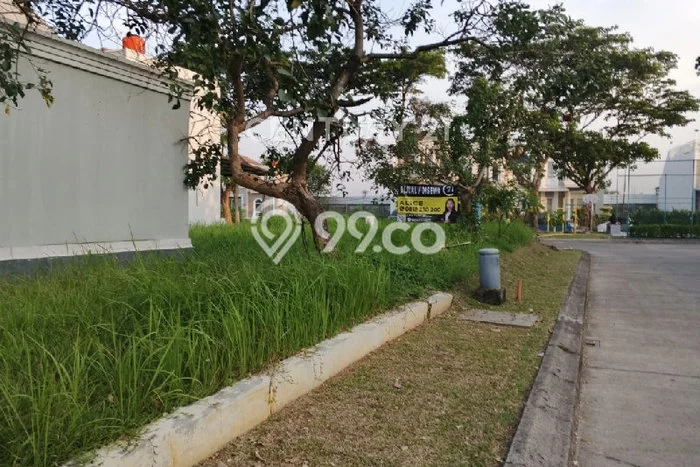 Jarang Ada! Tanah di Harjamukti Punya Luas 238m2 SHM Jarang Ada! Tanah di Harjamukti Punya Luas 238m2 SHM