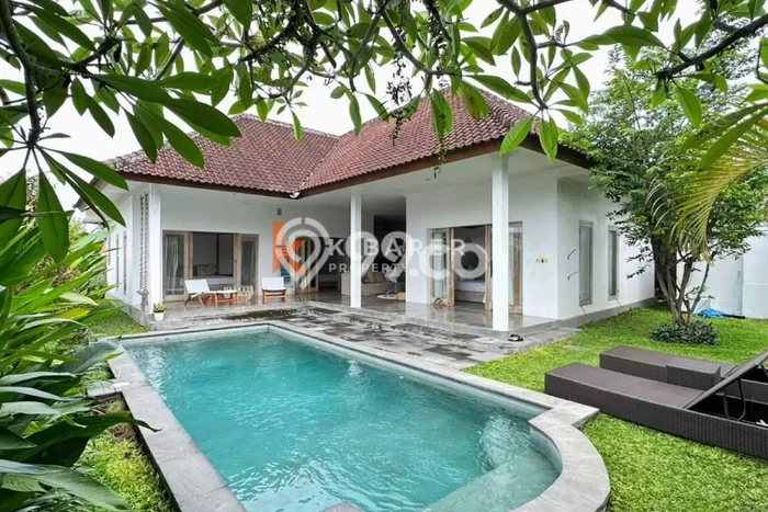 Jarang Ada! Rumah Sewa 3 Kamar Bagus Siap Huni Canggu Jarang Ada! Rumah Sewa 3 Kamar Bagus Siap Huni Canggu