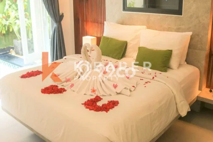 Disewakan Rumah Murah di Kerobokan Badung Punya 2 Kamar Tidur Disewakan Rumah Murah di Kerobokan Badung Punya 2 Kamar Tidur