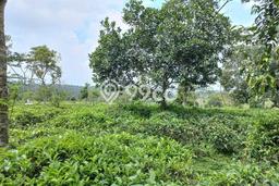 Tanah Dijual Lokasi Bojong Purwakarta SHM Tanah Dijual Lokasi Bojong Purwakarta SHM