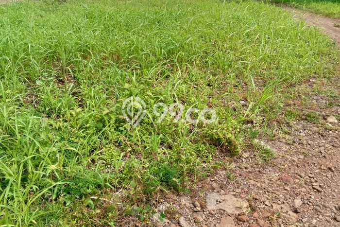 Lahan Dijual Lokasi Cilaku, Cianjur dengan Luas Tanah 20887m2 dan Status SHM Lahan Dijual Lokasi Cilaku, Cianjur dengan Luas Tanah 20887m2 dan Status SHM